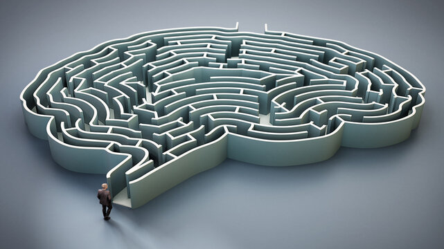 The Mind Can Be a Maze—or a Mirror.